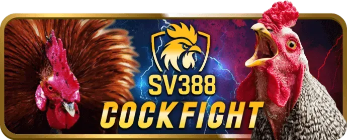 Chọn sảnh đá gà và trận đấu tại Won99